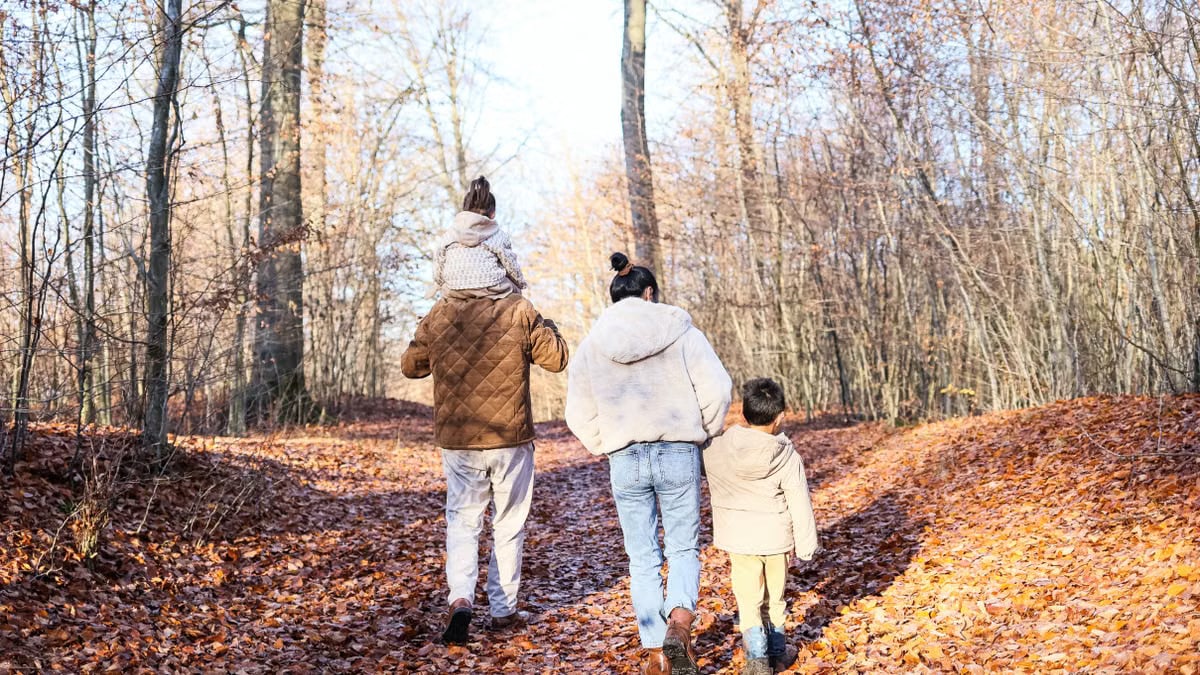 Attività da fare in famiglia per migliorare il benessere